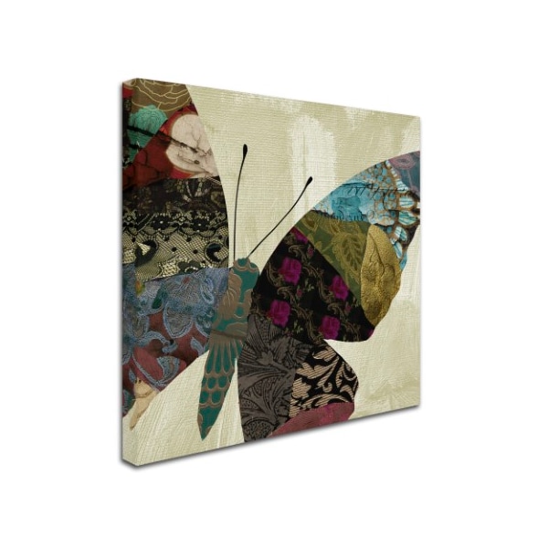 Color Bakery 'Butterfly Brocade IV' Canvas Art,18x18